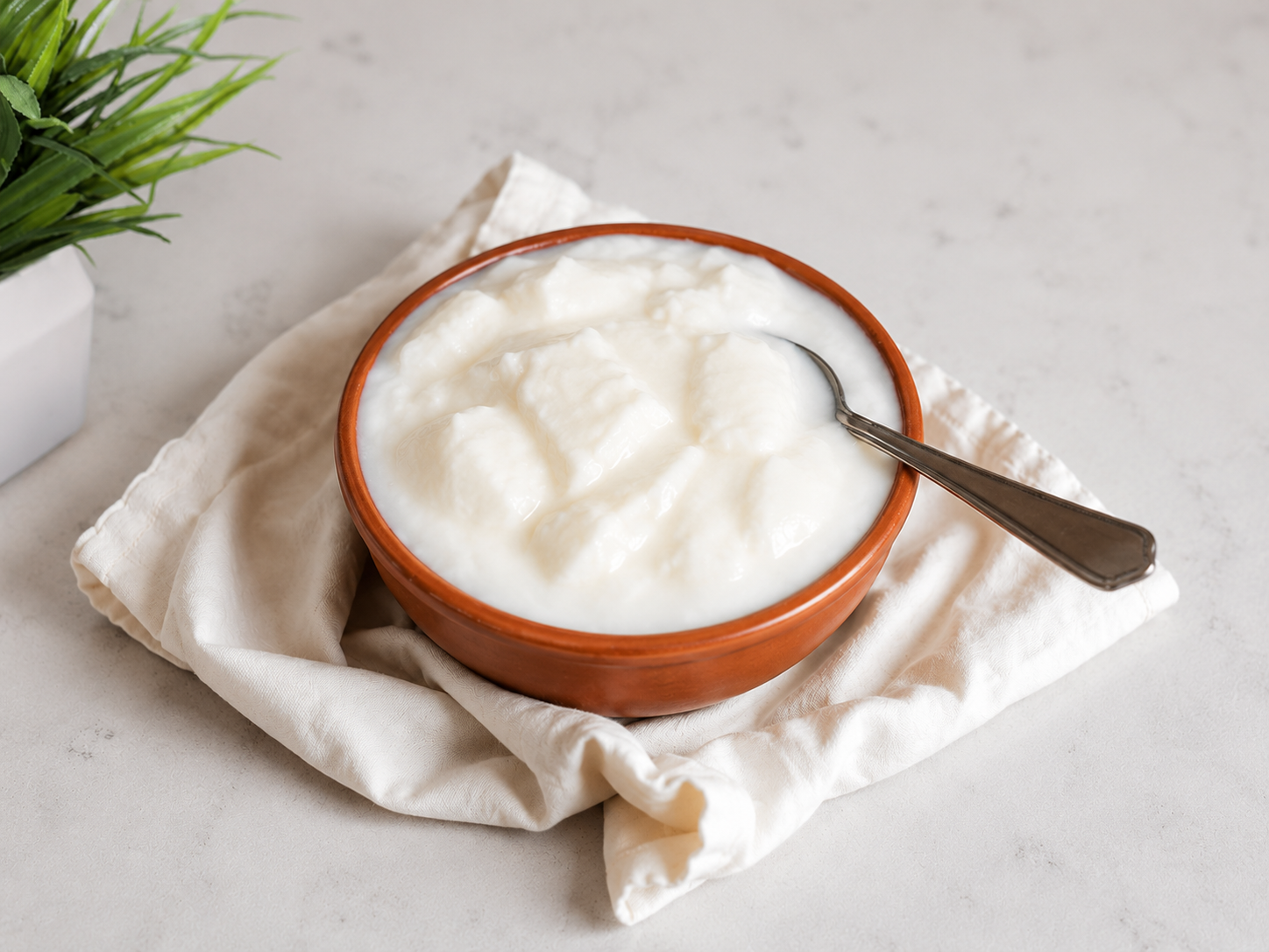 Thick Curd / Dahi